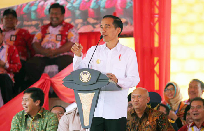 Jokowi: 9 Bendungan dan 30.000 Embung Dukung Swasembada Pangan